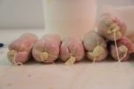 imbottito salamone anna2