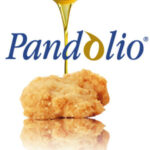logo pandolio1