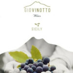 Giovinotto Wines Store