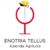 Profile picture of EnotriaTellus